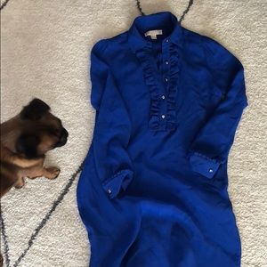 Royal blue knee length dress (puppy not included)